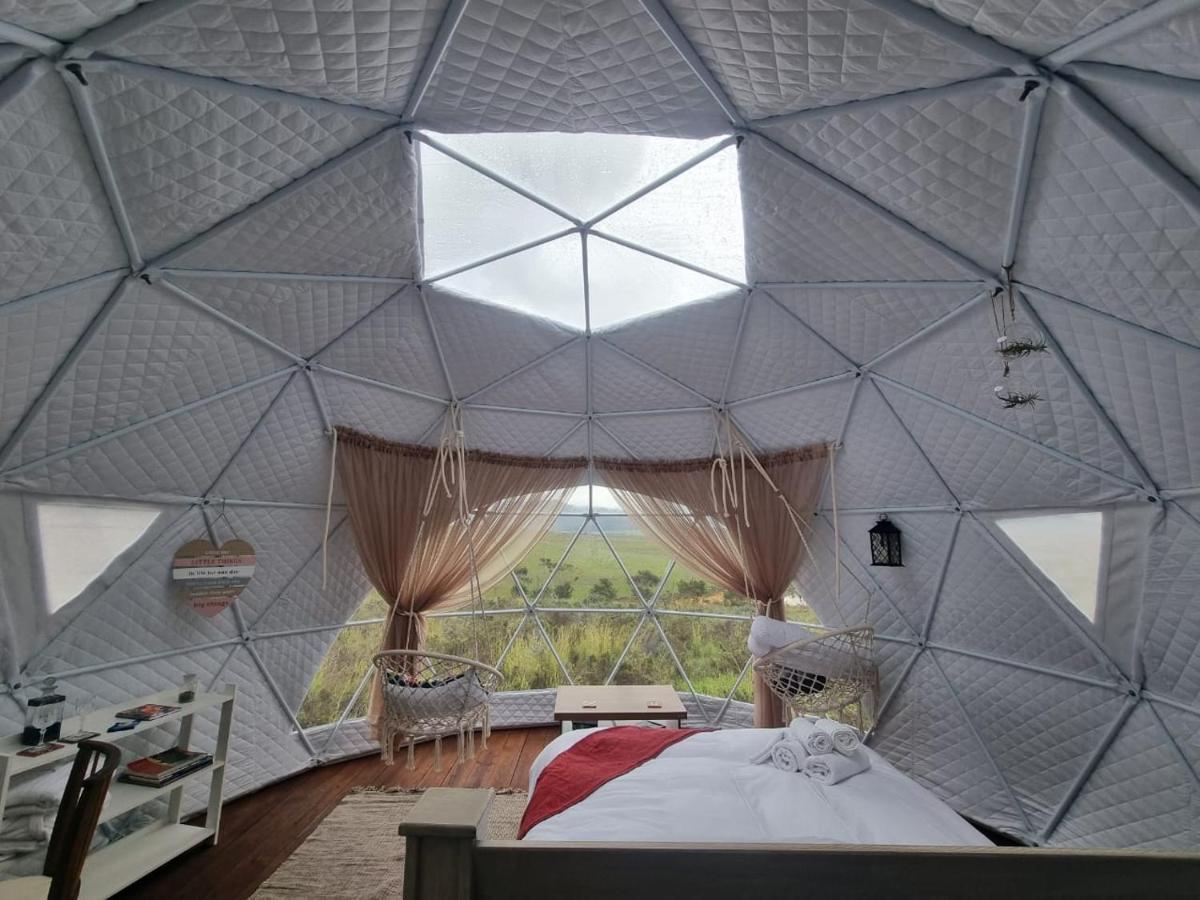Pom Gratz - Ecodomes Hotel Hartebeesrivier Екстериор снимка