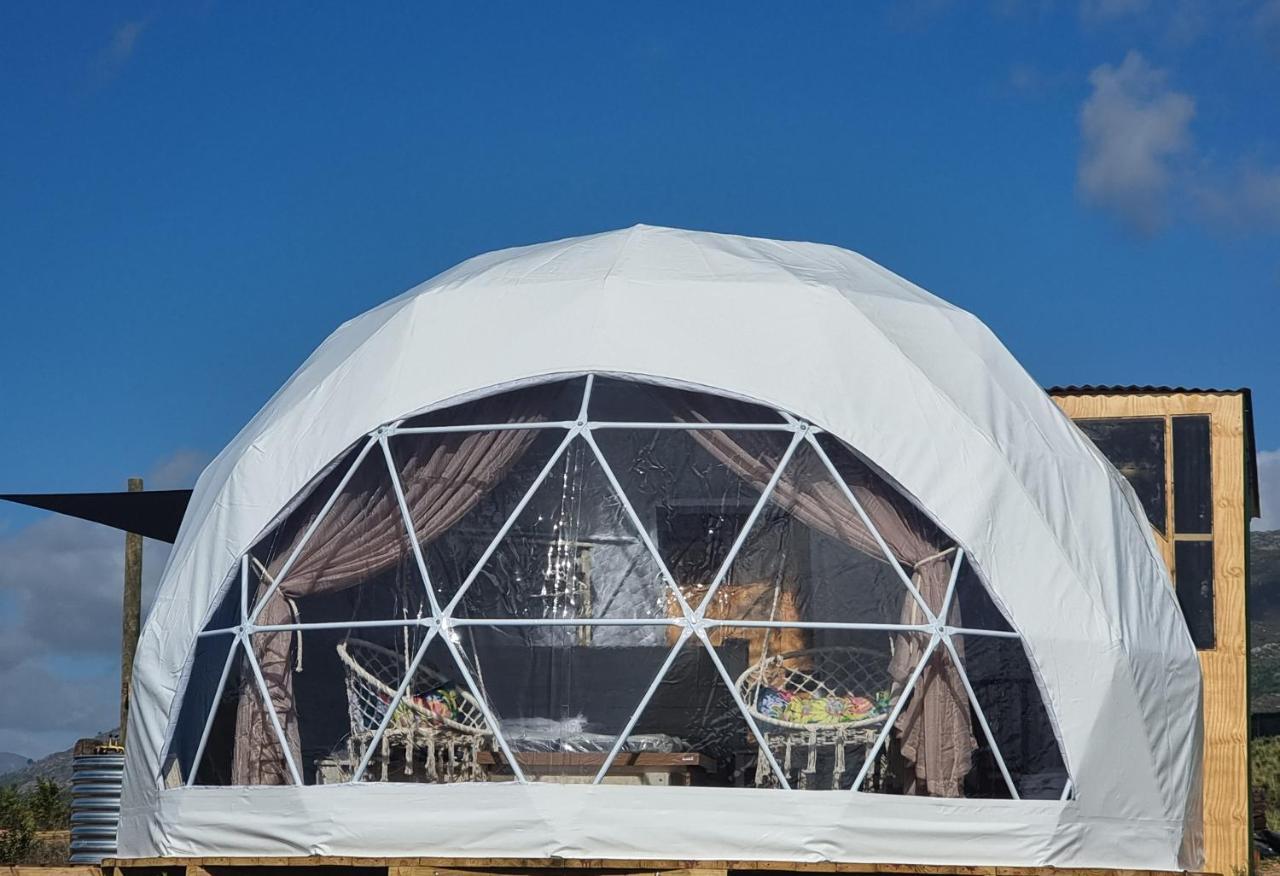 Pom Gratz - Ecodomes Hotel Hartebeesrivier Екстериор снимка