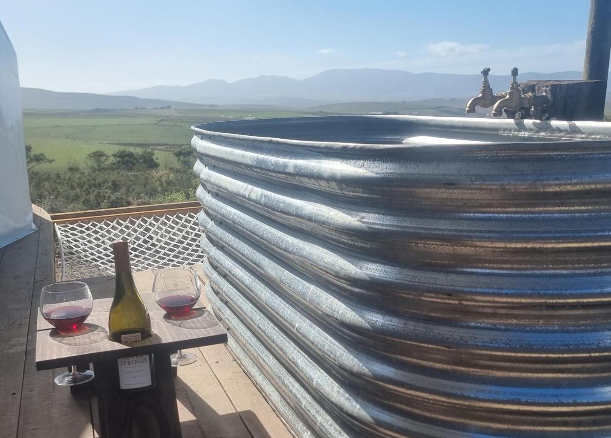 Pom Gratz - Ecodomes Hotel Hartebeesrivier Екстериор снимка