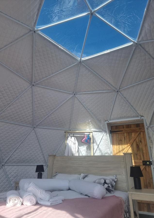 Pom Gratz - Ecodomes Hotel Hartebeesrivier Екстериор снимка