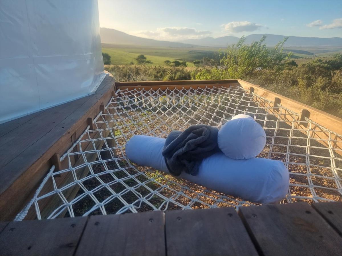 Pom Gratz - Ecodomes Hotel Hartebeesrivier Екстериор снимка