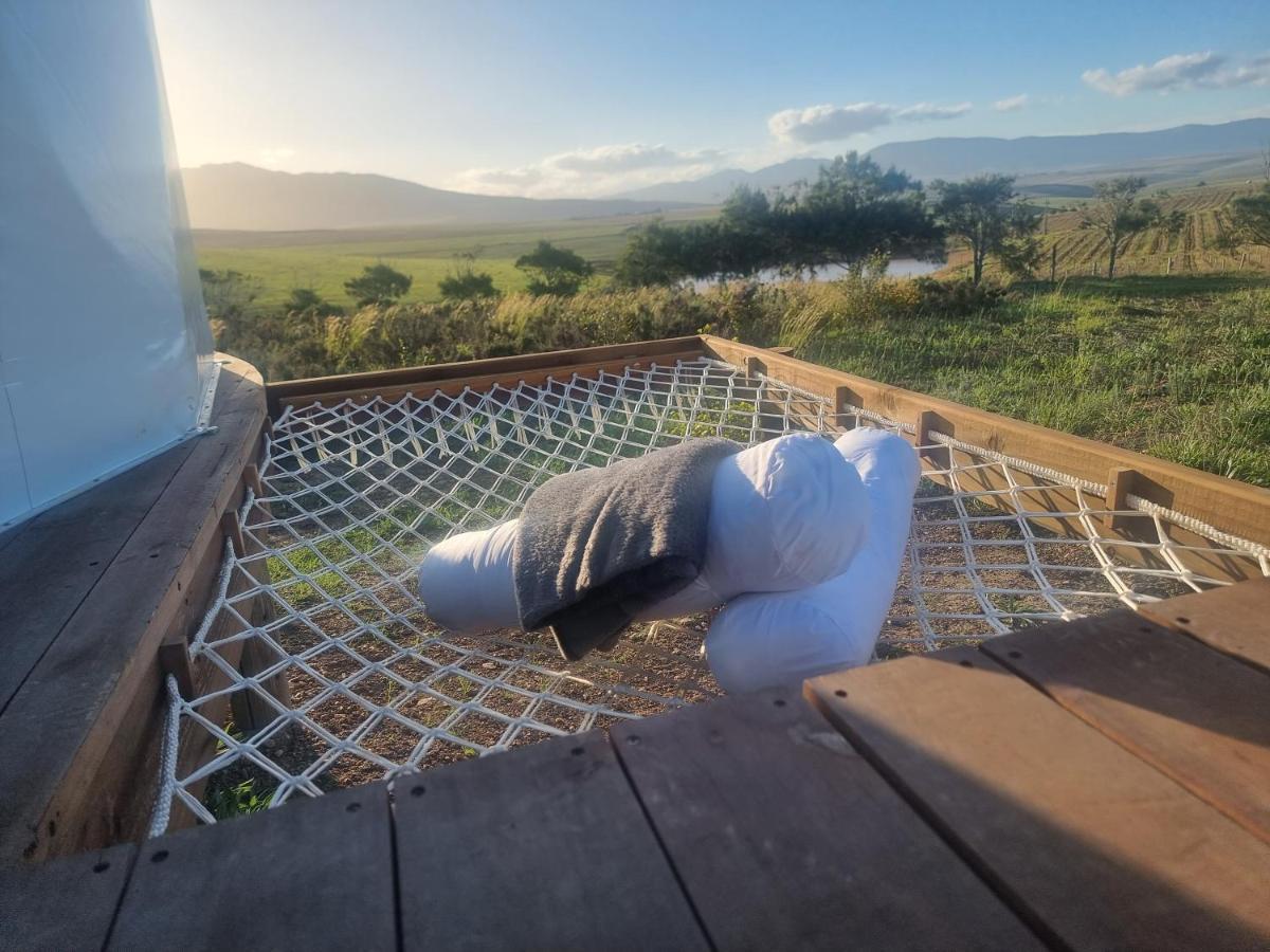 Pom Gratz - Ecodomes Hotel Hartebeesrivier Екстериор снимка