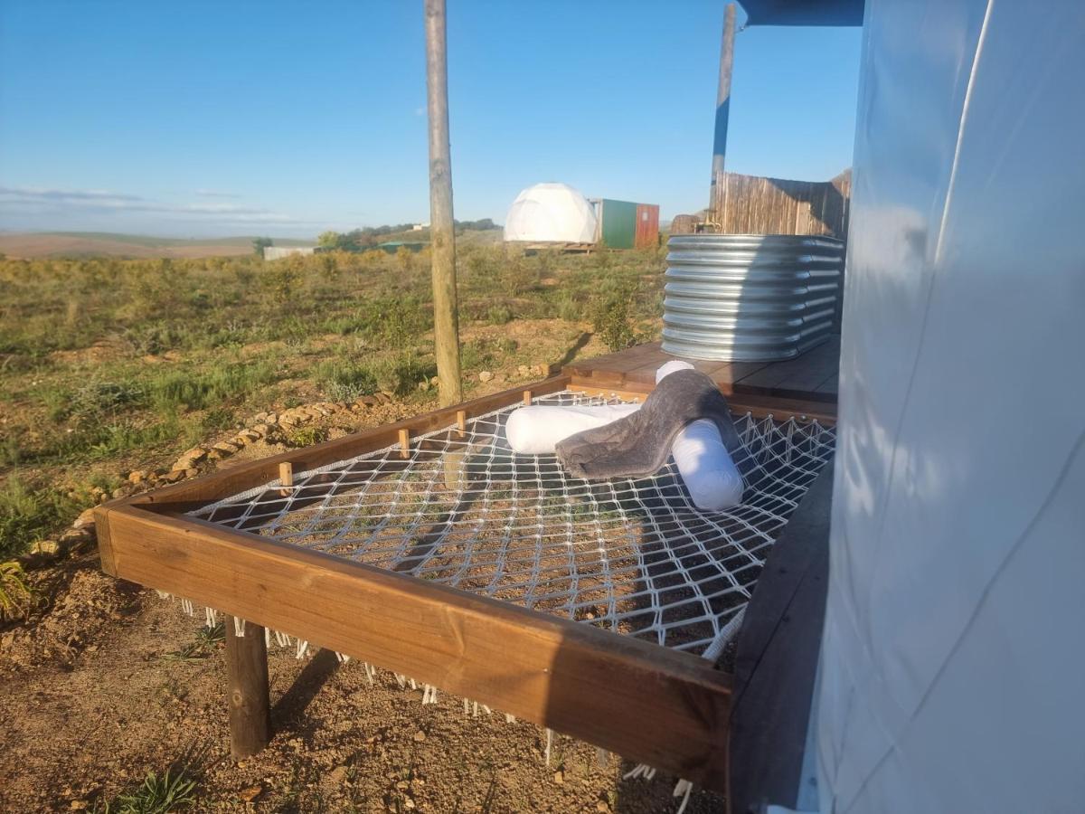 Pom Gratz - Ecodomes Hotel Hartebeesrivier Екстериор снимка