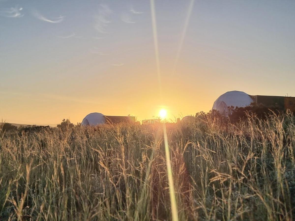 Pom Gratz - Ecodomes Hotel Hartebeesrivier Екстериор снимка