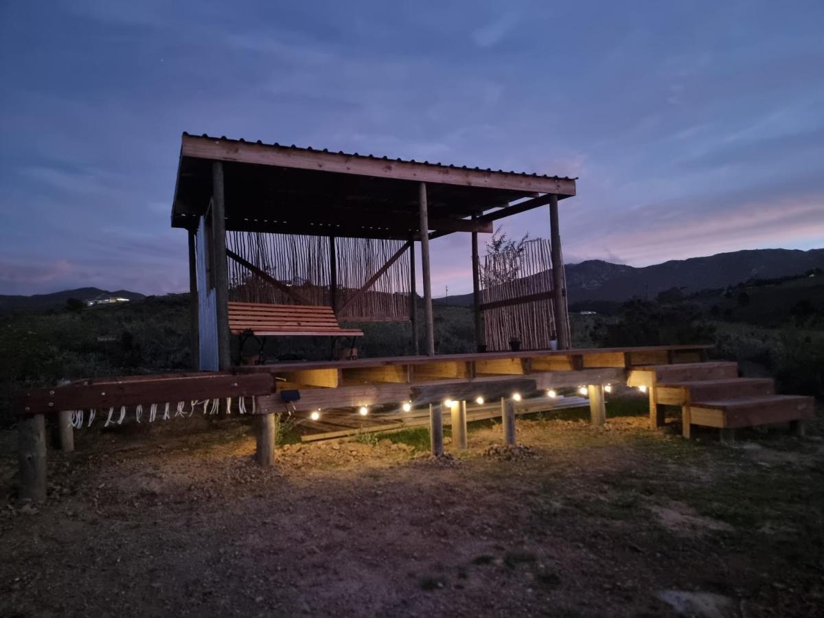 Pom Gratz - Ecodomes Hotel Hartebeesrivier Екстериор снимка