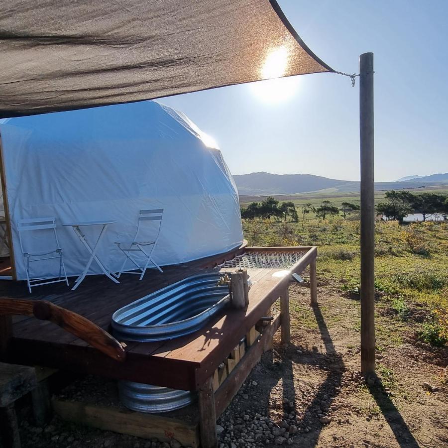 Pom Gratz - Ecodomes Hotel Hartebeesrivier Екстериор снимка