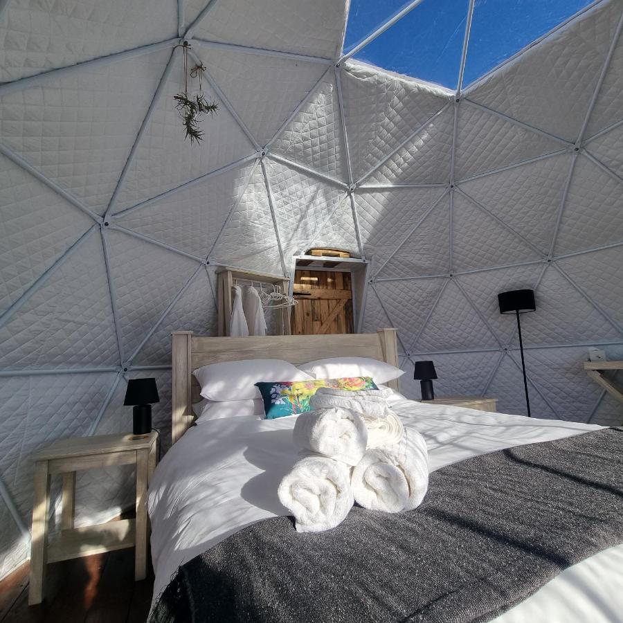 Pom Gratz - Ecodomes Hotel Hartebeesrivier Екстериор снимка